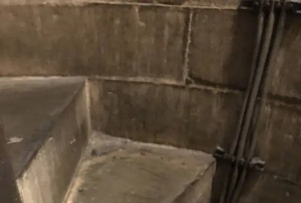 サンタマリアデルフィォーレの写真・動画_image_268112