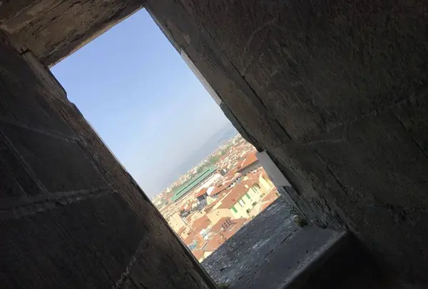 サンタマリアデルフィォーレの写真・動画_image_268119