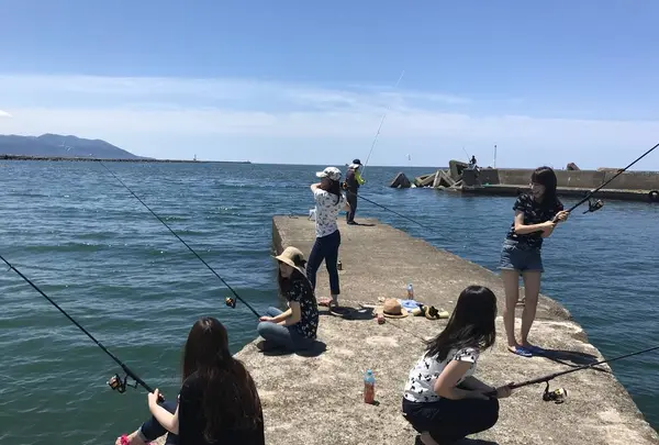 おさかな集積所”おとと”の写真・動画_image_268303