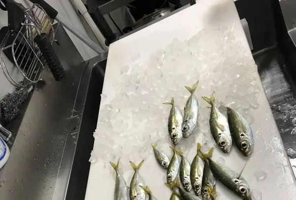 おさかな集積所”おとと”の写真・動画_image_268306