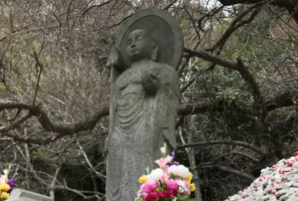 鋸山 日本寺 展望台の写真・動画_image_268399