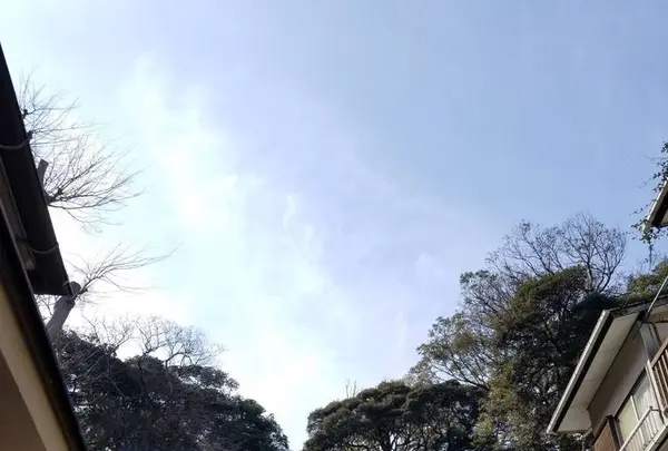 江の島の写真・動画_image_268514