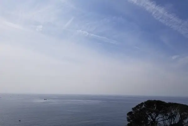 江の島の写真・動画_image_268515
