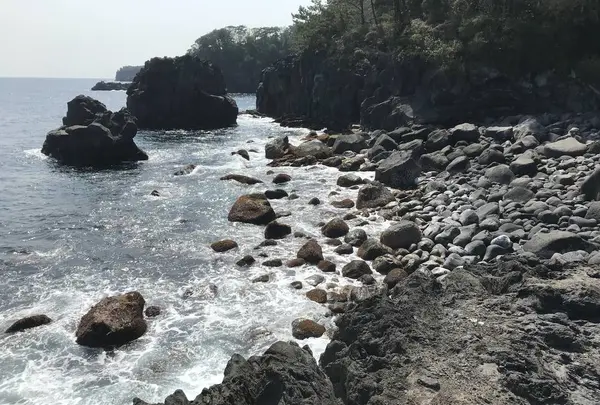 城ヶ崎海岸の写真・動画_image_268591