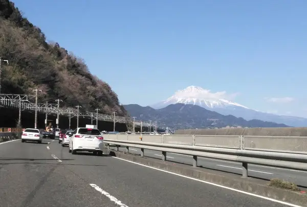 由比本陣公園の写真・動画_image_268756
