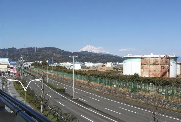 清水魚市場 の写真・動画_image_268772