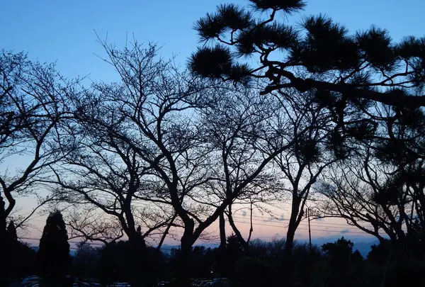 日本平ホテルの写真・動画_image_268776