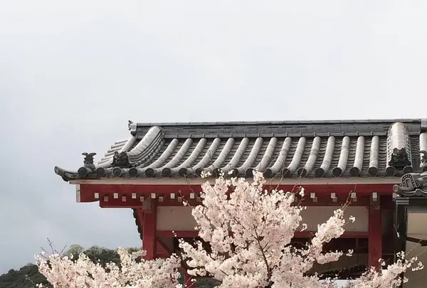 極楽寺の写真・動画_image_268986