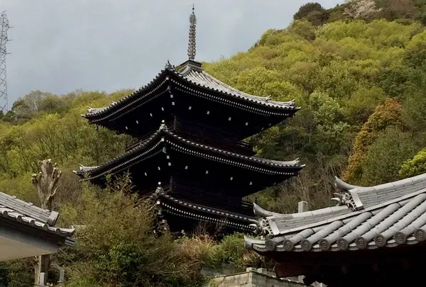 極楽寺の写真・動画_image_268989