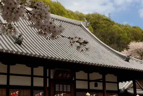 極楽寺の写真・動画_image_268990