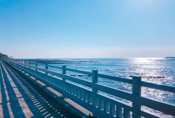 青島神社の写真・動画_image_269243