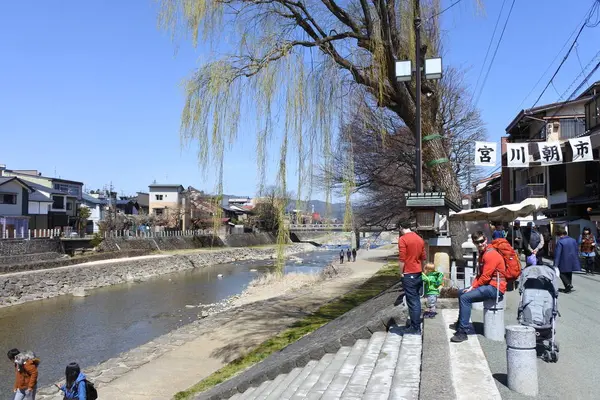 宮川朝市の写真・動画_image_269351