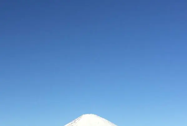 ふじみ茶屋の写真・動画_image_269369