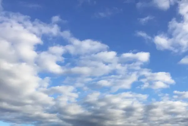 EXPASA富士川 上りの写真・動画_image_269379