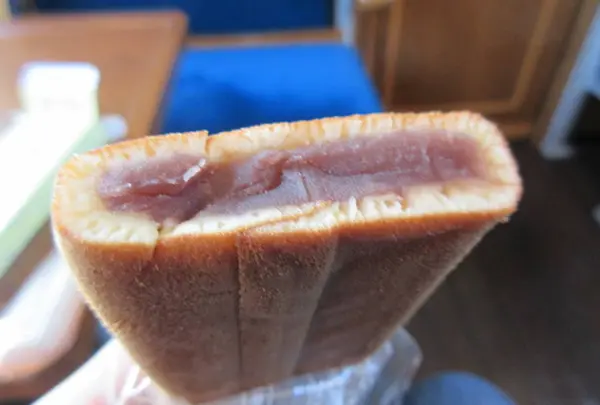 SLやまぐち号（新山口〜津和野）の写真・動画_image_269939