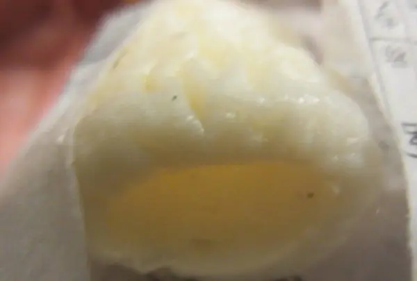 新山口駅の写真・動画_image_269945