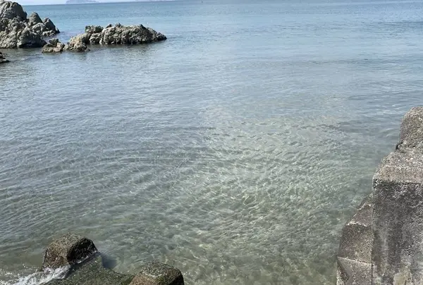 森戸海岸の写真・動画_image_270162