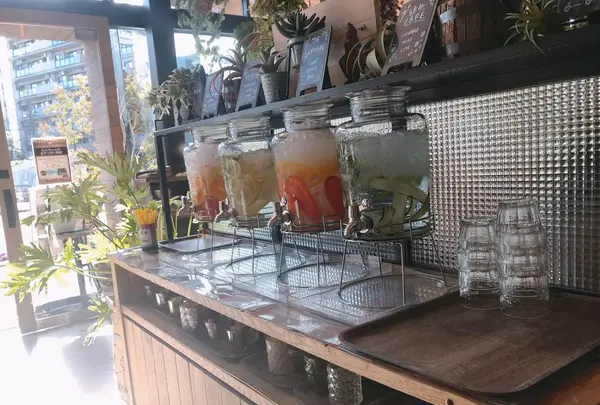 Mr. FARMERの写真・動画_image_270199