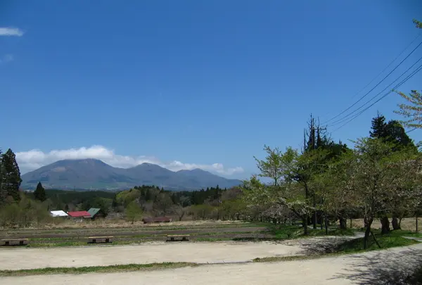 天空塔からの眺め