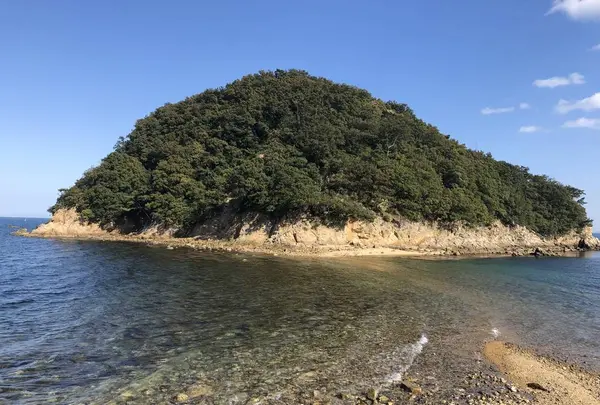 明南海岸（南風台付近）の写真・動画_image_270410