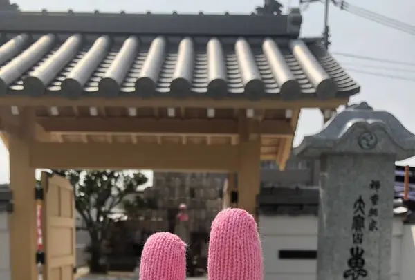 大宝山 恵運寺の写真・動画_image_270437