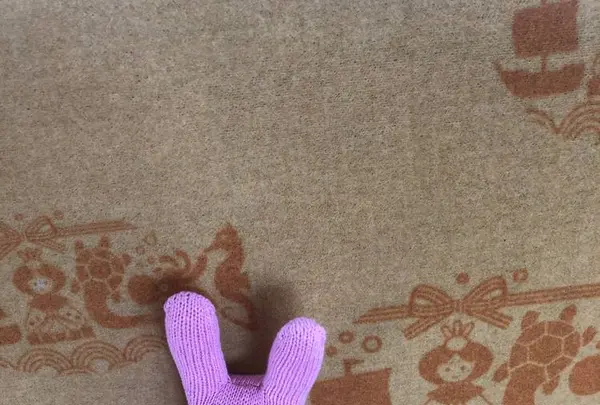 南海加太線の写真・動画_image_270462