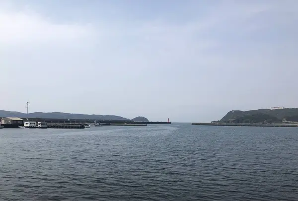 淡島神社の写真・動画_image_270471