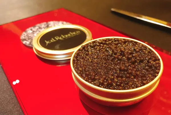 ガストロノミー ジョエル・ロブション(Joel Robuchon)の写真・動画_image_270750