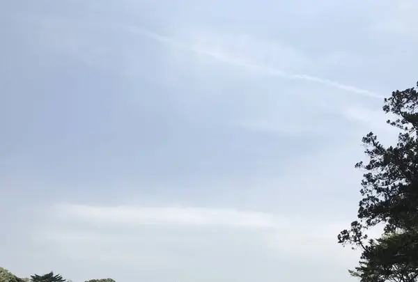 建長寺半僧坊本殿の写真・動画_image_270770