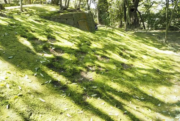 兼六園の写真・動画_image_270908