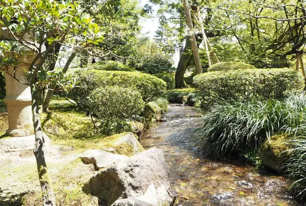 兼六園の写真・動画_image_270909