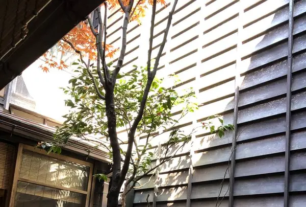 お茶屋文化館の写真・動画_image_270914