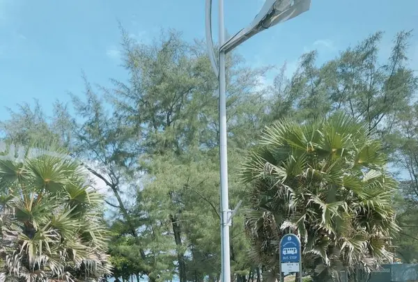 Phuket Smart Busの写真・動画_image_270972