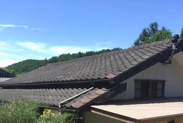 山川文庫の写真・動画_image_271510