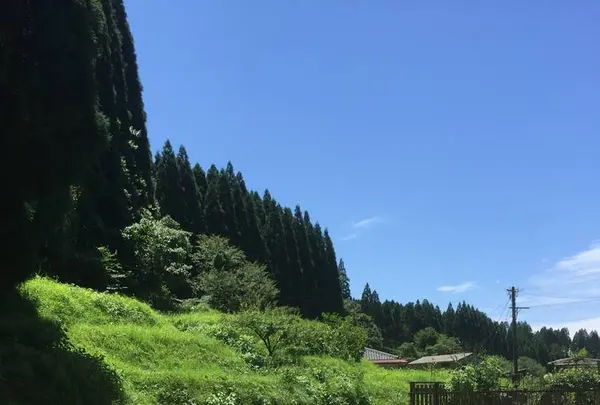 山川文庫の写真・動画_image_271511