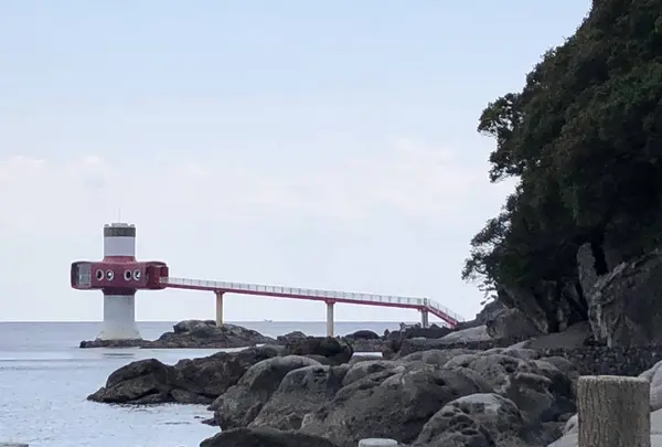 足摺海底館の写真・動画_image_271695