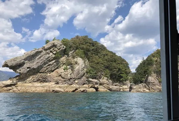 足摺海底館の写真・動画_image_271703