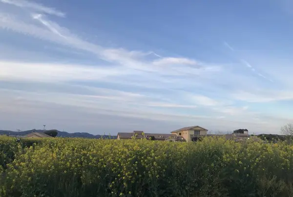 長井海の手公園ソレイユの丘の写真・動画_image_271957