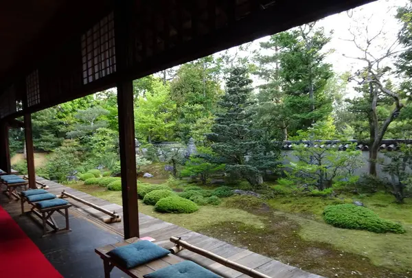 大雄院の写真・動画_image_272520