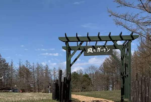 風のガーデンの写真・動画_image_272532