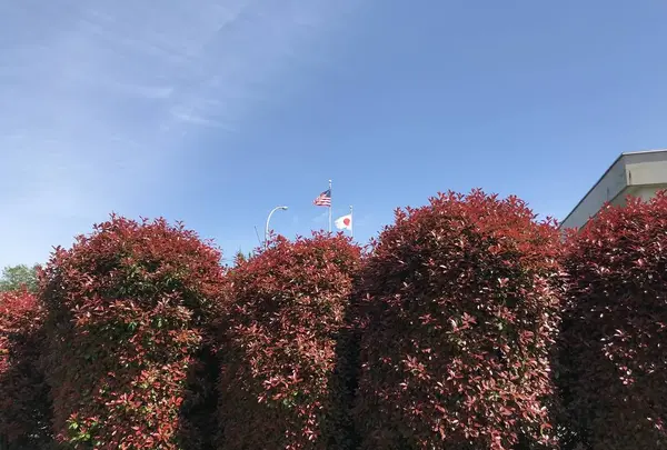 地蔵王廟の写真・動画_image_272561