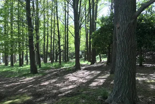 地蔵王廟の写真・動画_image_272568