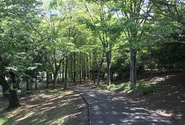 地蔵王廟の写真・動画_image_272569