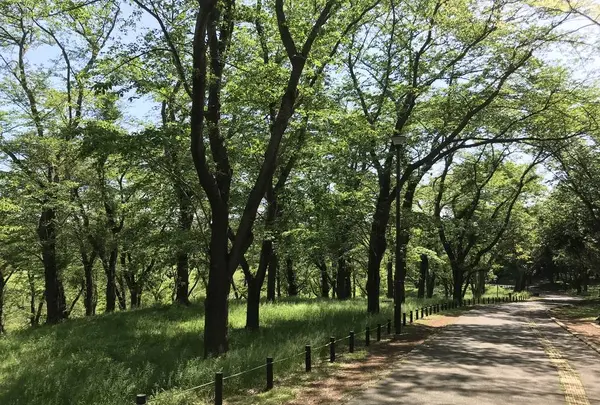 地蔵王廟の写真・動画_image_272574