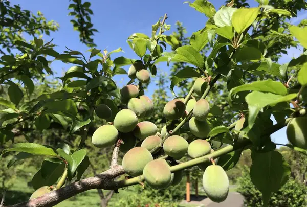 地蔵王廟の写真・動画_image_272578