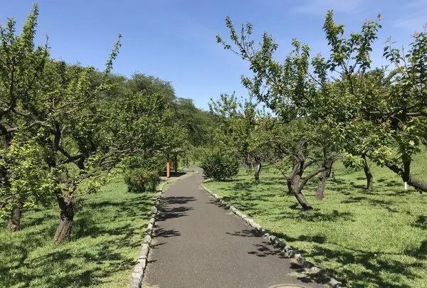 地蔵王廟の写真・動画_image_272581