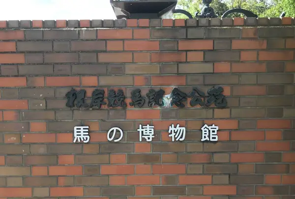 地蔵王廟の写真・動画_image_272600