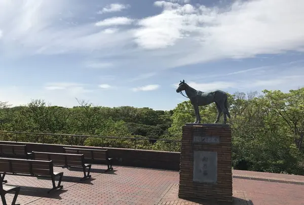 地蔵王廟の写真・動画_image_272607