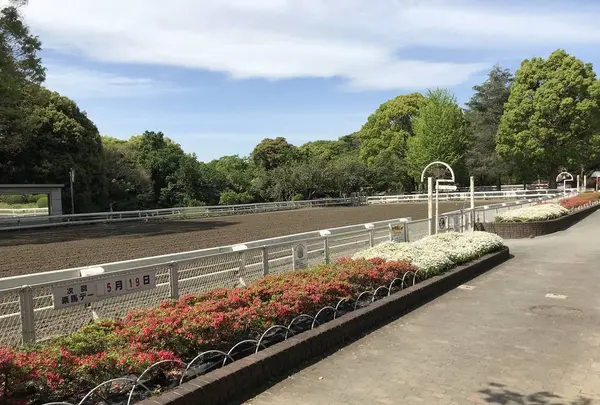 地蔵王廟の写真・動画_image_272612