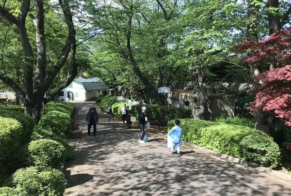 地蔵王廟の写真・動画_image_272614